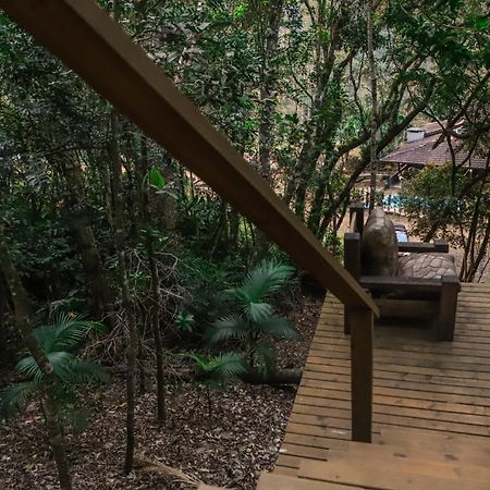 Chale Da Arvore, Vivenda Serra Velha, Chales De Montanha Timbe do Sul Zewnętrze zdjęcie