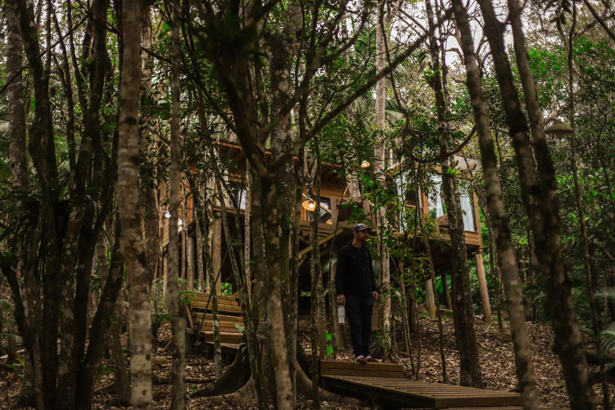 Chale Da Arvore, Vivenda Serra Velha, Chales De Montanha Timbe do Sul Zewnętrze zdjęcie