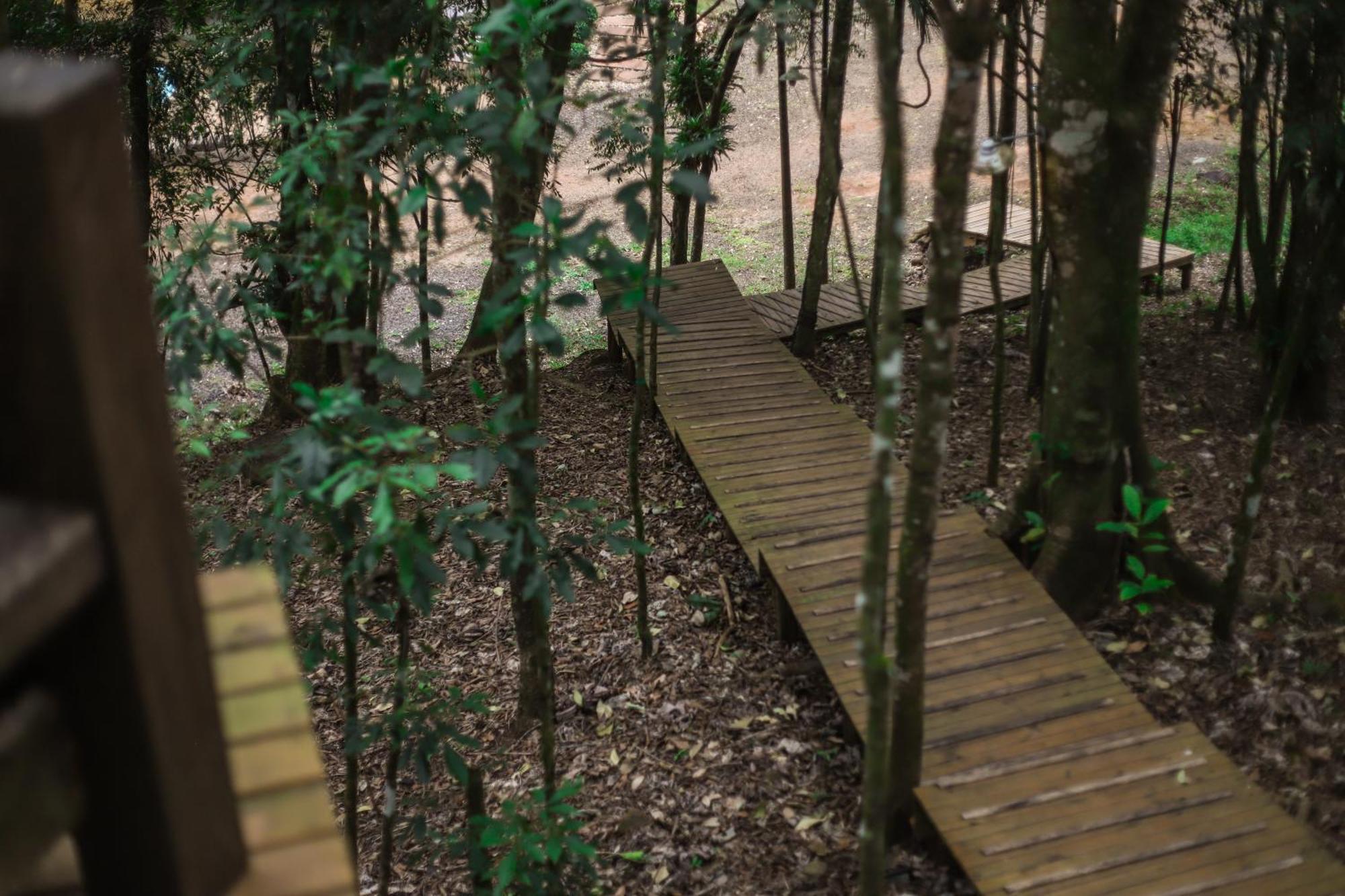 Chale Da Arvore, Vivenda Serra Velha, Chales De Montanha Timbe do Sul Zewnętrze zdjęcie