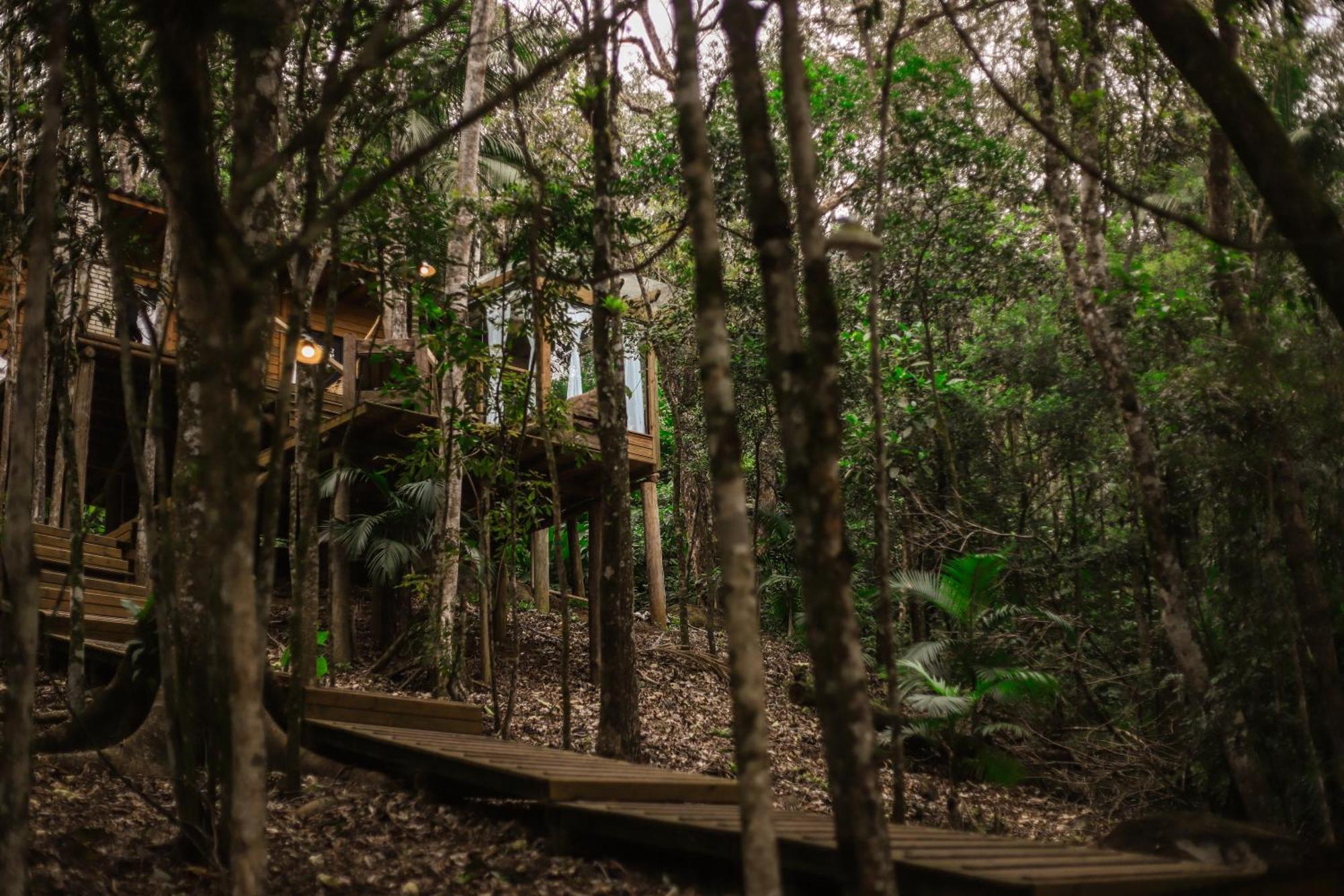 Chale Da Arvore, Vivenda Serra Velha, Chales De Montanha Timbe do Sul Zewnętrze zdjęcie