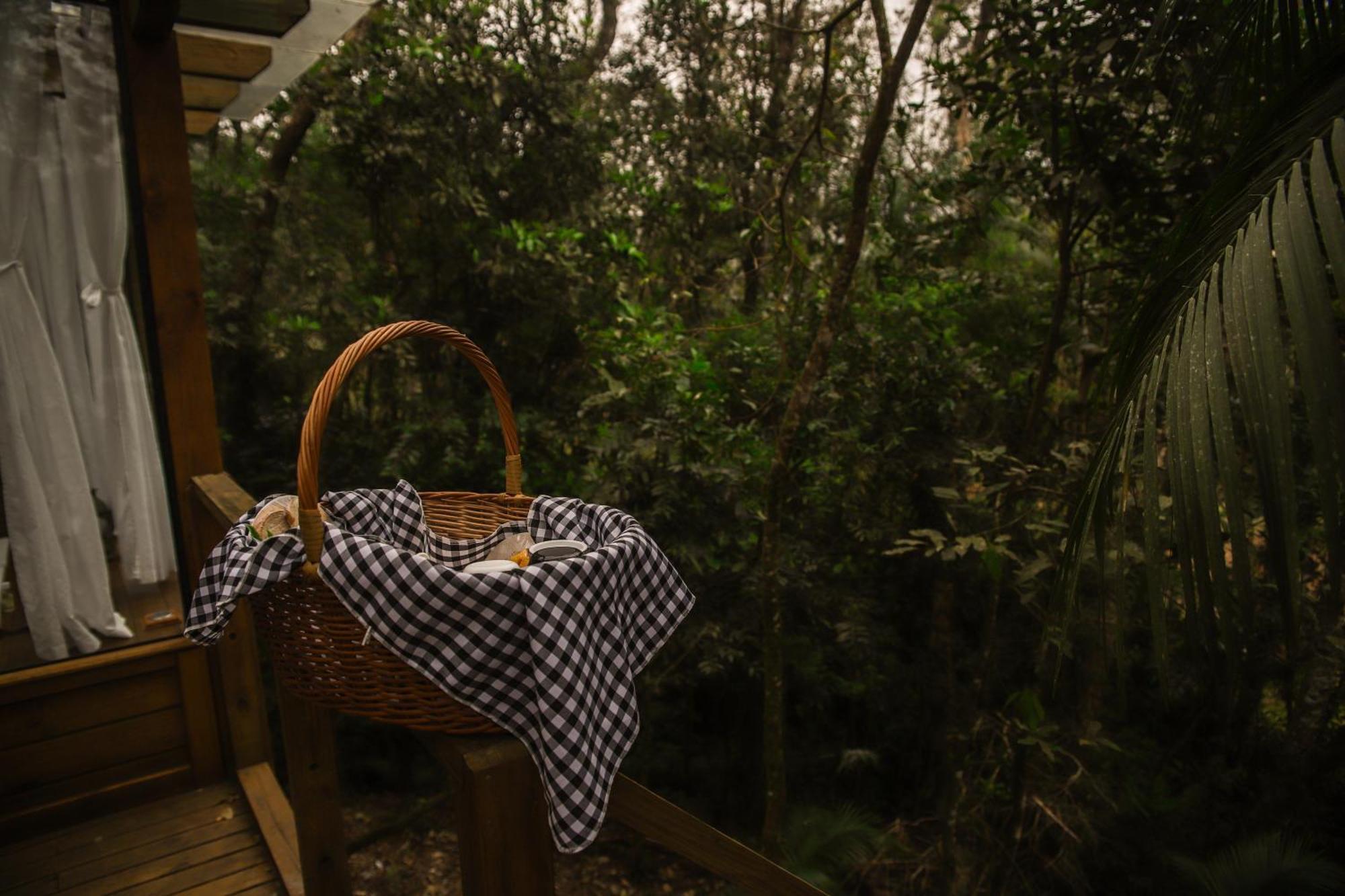 Chale Da Arvore, Vivenda Serra Velha, Chales De Montanha Timbe do Sul Zewnętrze zdjęcie